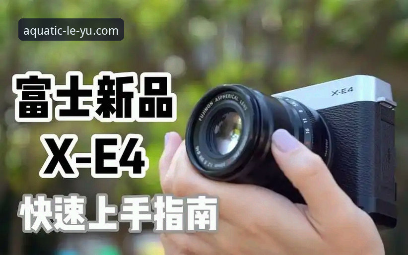 资深用户分享：乐鱼最新版本使用指南，这些实战经验让你快速上手